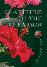 Gratitude to the Creation